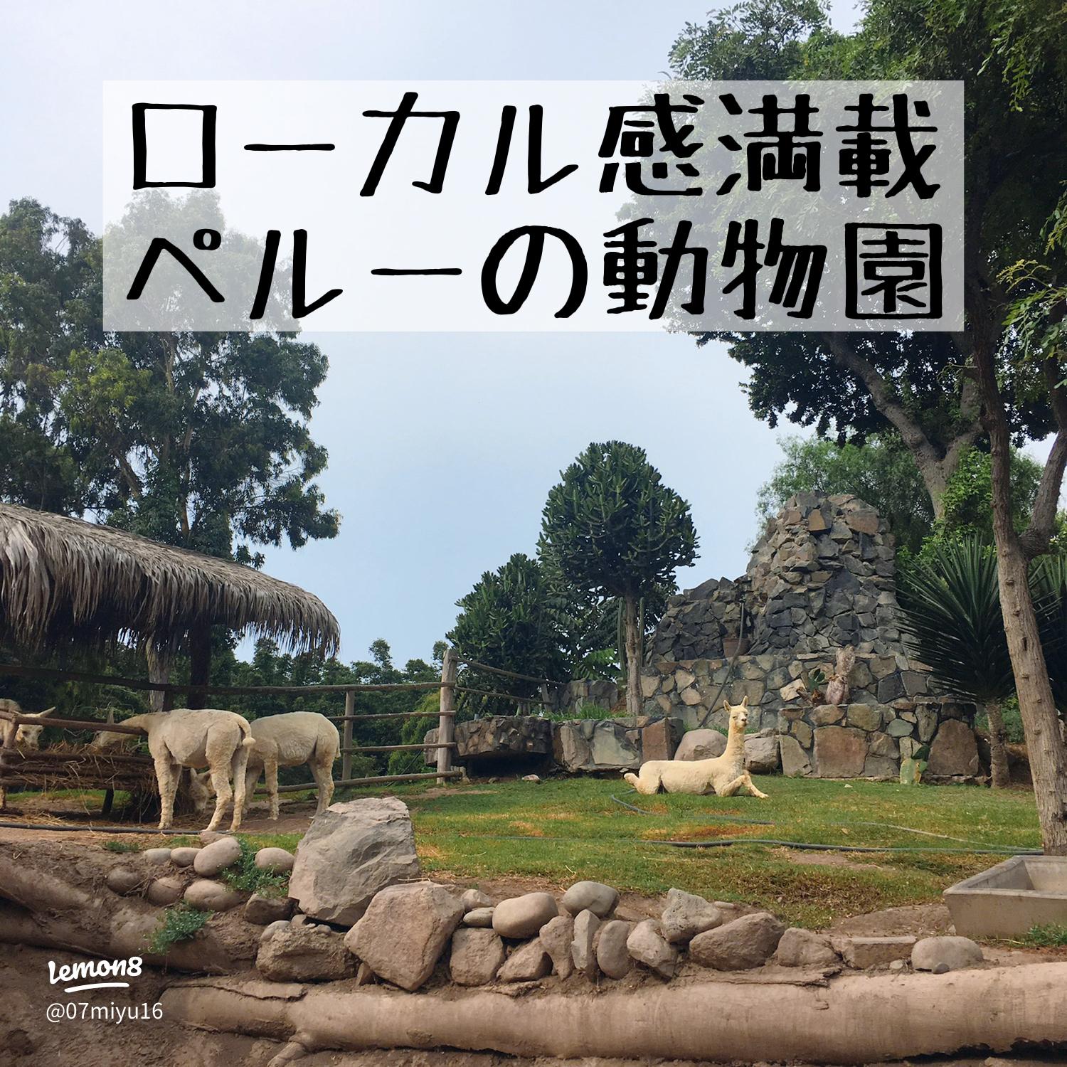 １月のリマは真夏！１月の気候わたし、ペルーで踊ってます