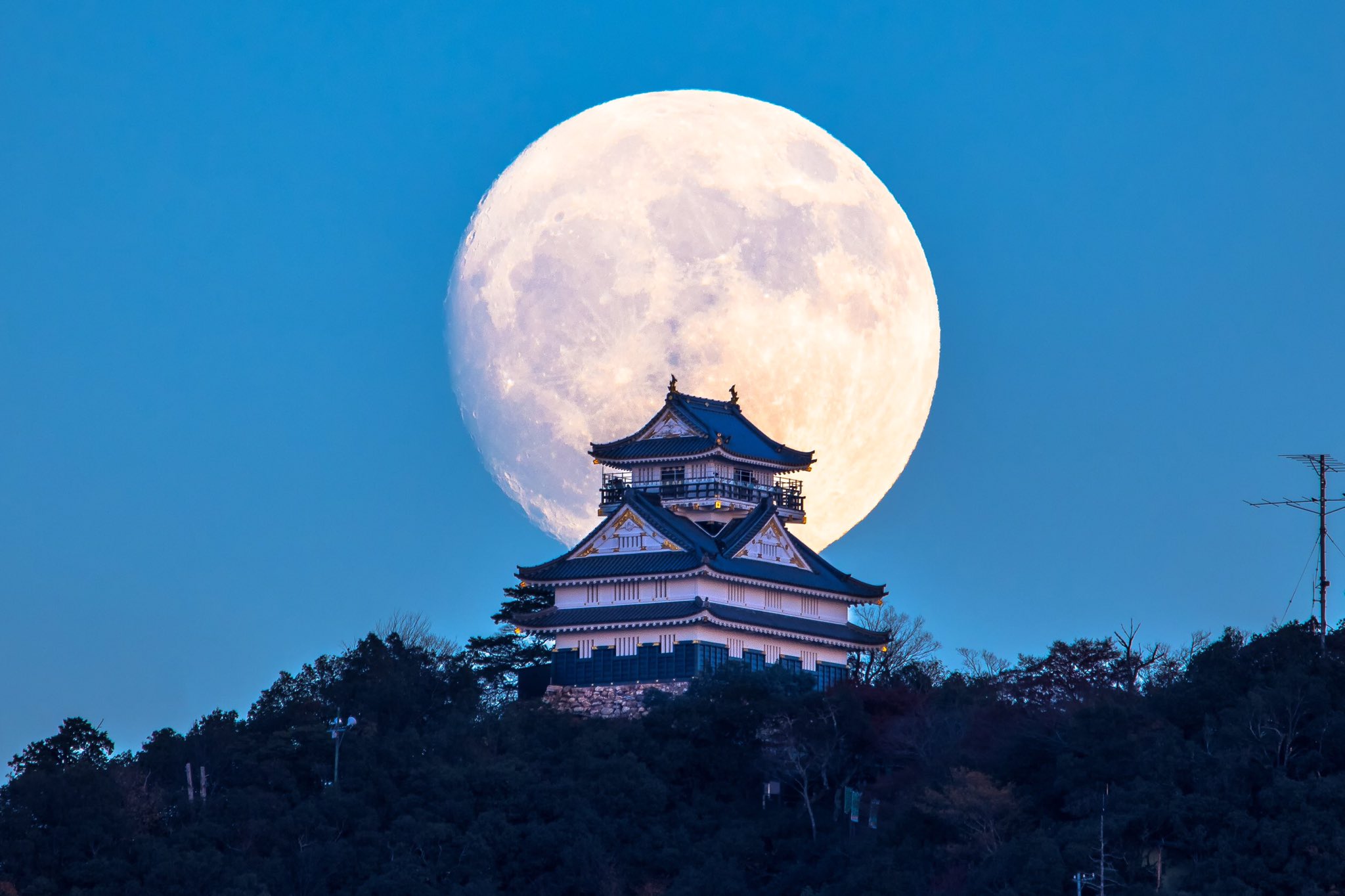 バズる１枚を 「月と岐阜城」撮影ツアー、市が開催 - 産経ニュース