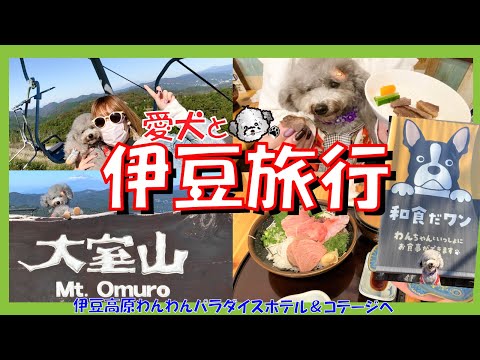 伊豆高原ビールうまいもん処 ペット同伴席伊豆高原ビールうまいもん処伊豆高原ビール 伊豆旅行伊豆グルメ 伊東温泉
