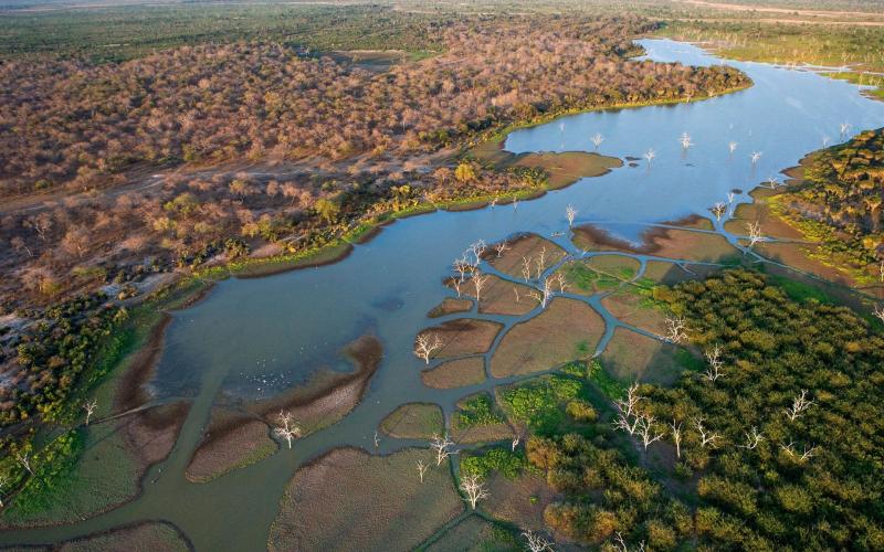 ボツワナのオカバンゴデルタとは？ 世界遺産登録理由＆生息動物をわかりやすく解説