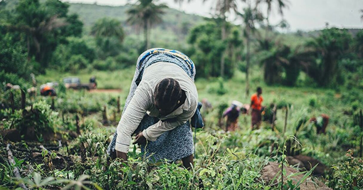 国際協力＆アフリカ理解ササカワ・アフリカ財団