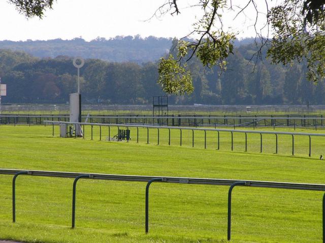 カラで競馬観戦！ - ナオコガイドのアイルランド日記