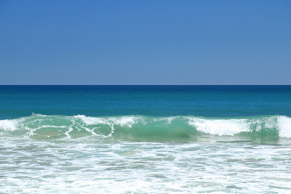 五十嵐カノアのキッズ向けサーフィンイベントが静波サーフスタジアムで開催 9 21THE SURF