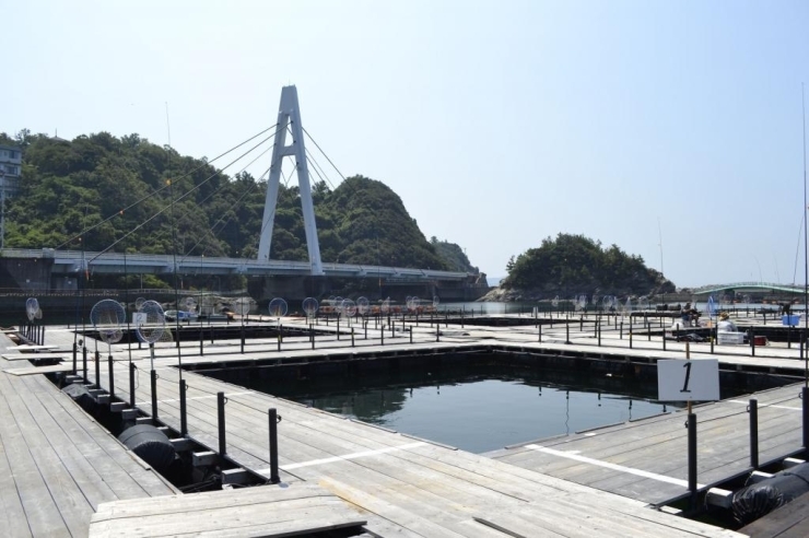日本のアマルフィ！？和歌山県雑賀崎の絶景スポット
