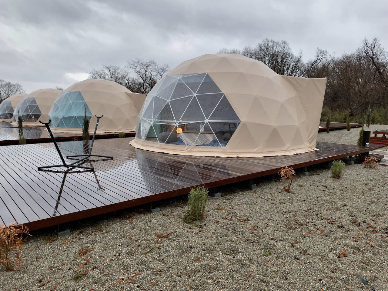 那須町 『那須ハミルの森』が2月18日にグランドオープン！ペットも泊まれるグランピング施設です。号外NET 那須塩原市・大田原市