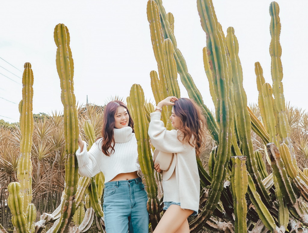 沖縄のインスタ映えはココ！スポット＆グルメまとめ沖縄観光情報WEBサイト おきなわ物語