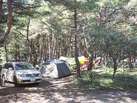 西湖コウモリ穴Fuji-Hakone-Izu Travel Guide