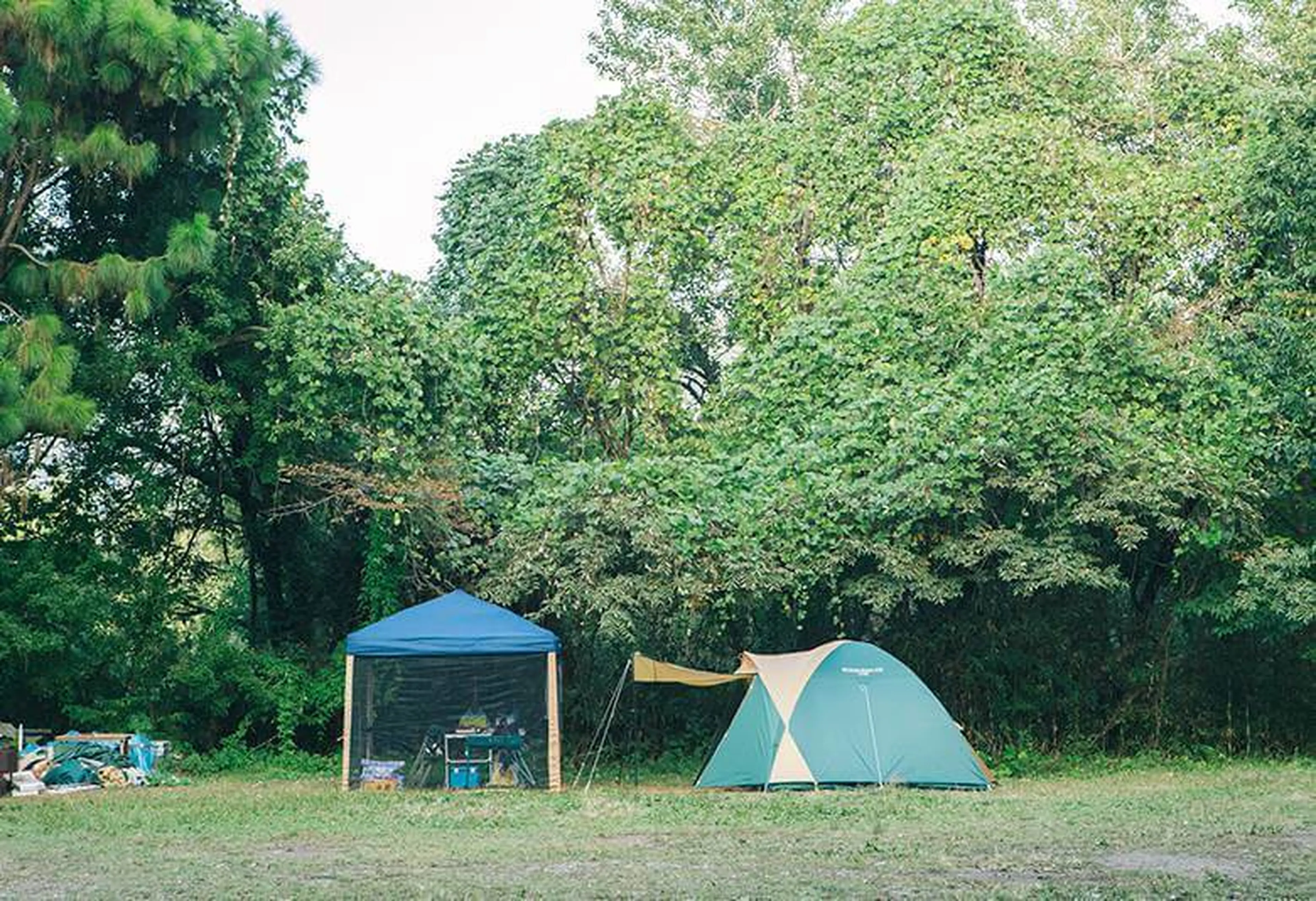 PICAさがみ湖さがみ湖ＭＯＲＩ ＭＯＲＩ