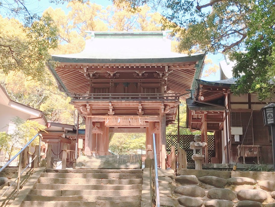 志賀島 ドライブ 夜TikTok