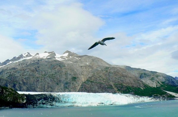 アラスカクルーズ日本地区代理店 セブンシーズリレーションズ