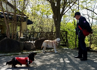 八ヶ岳アウトレットの駐車場が有料化へ！自然を楽しむ設備投資とは？ - 生駒から毎日の不思議を探して