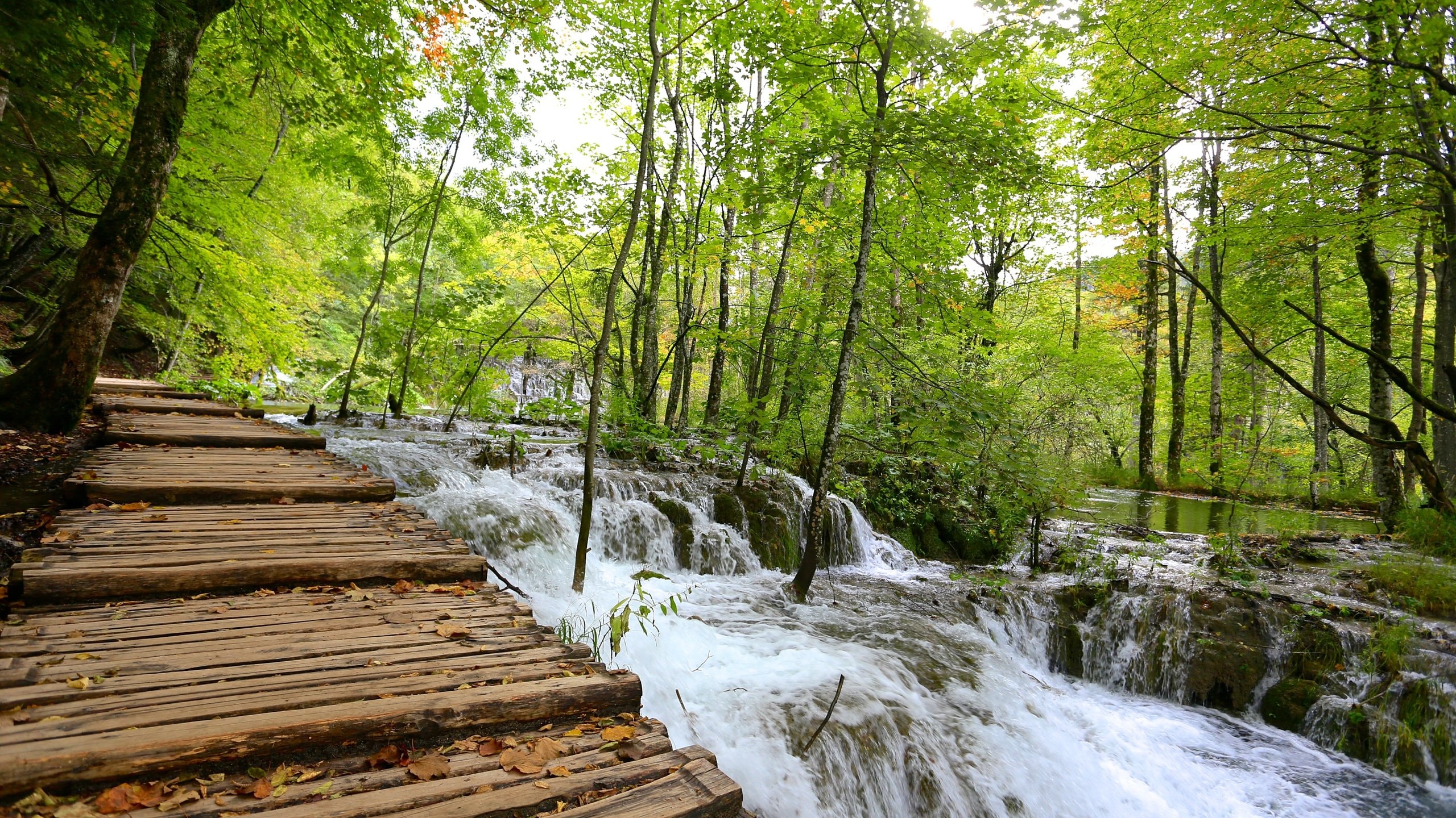 保存版 旅行前にチェック！プリトヴィッツェ観光基本情報 -