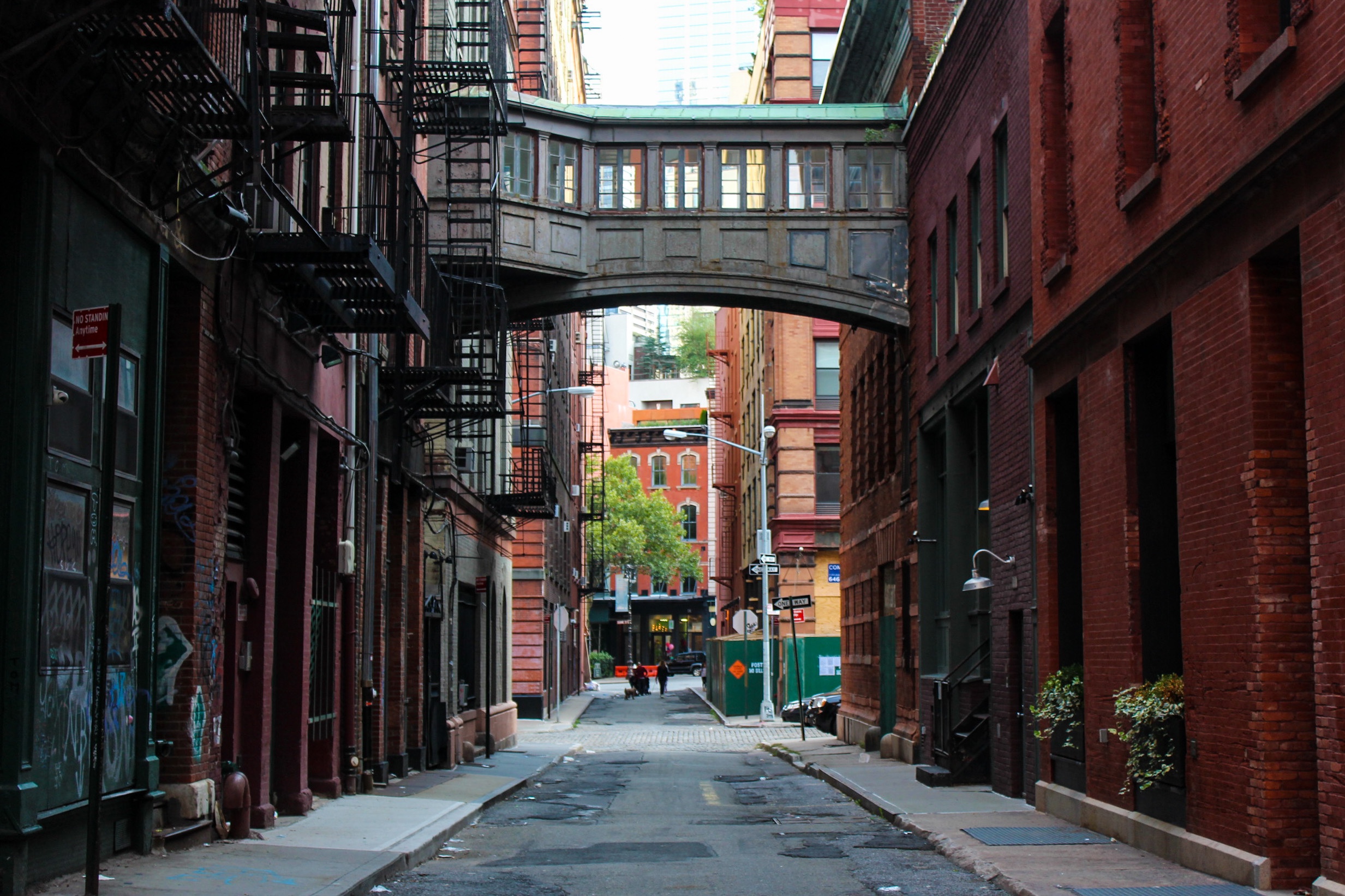 ニューヨーク旅学事典16 アジアの熱気「チャイナタウン」TABIZINE～人生に旅心を～