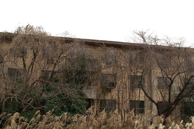 鏡-kagami-@人の不幸は蜜の味 on X: