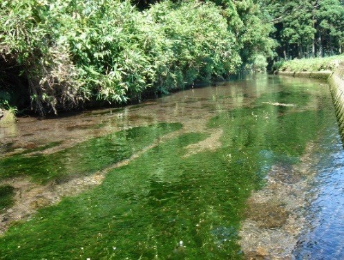 ☆丸池様 遊佐町☆ エメラルドグリーン色の水面が印象的な山形県遊佐町の丸池様