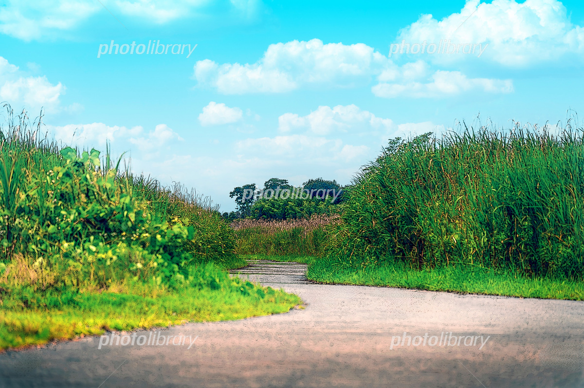 谷間の曲がりくねった道 イラスト素材 無料ダウンロード