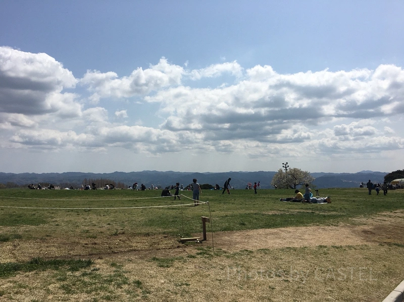 マザー牧場 on X: 