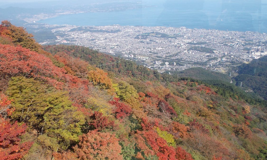 別府ロープウェイ・鶴見岳 - ROOM-P「のりてつウェブ」