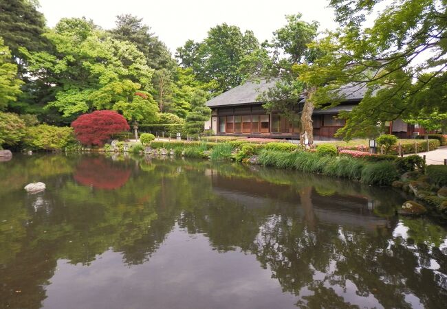 もみじ公園の紅葉見頃・天気情報 2025 - 日本気象協会 tenki.jp