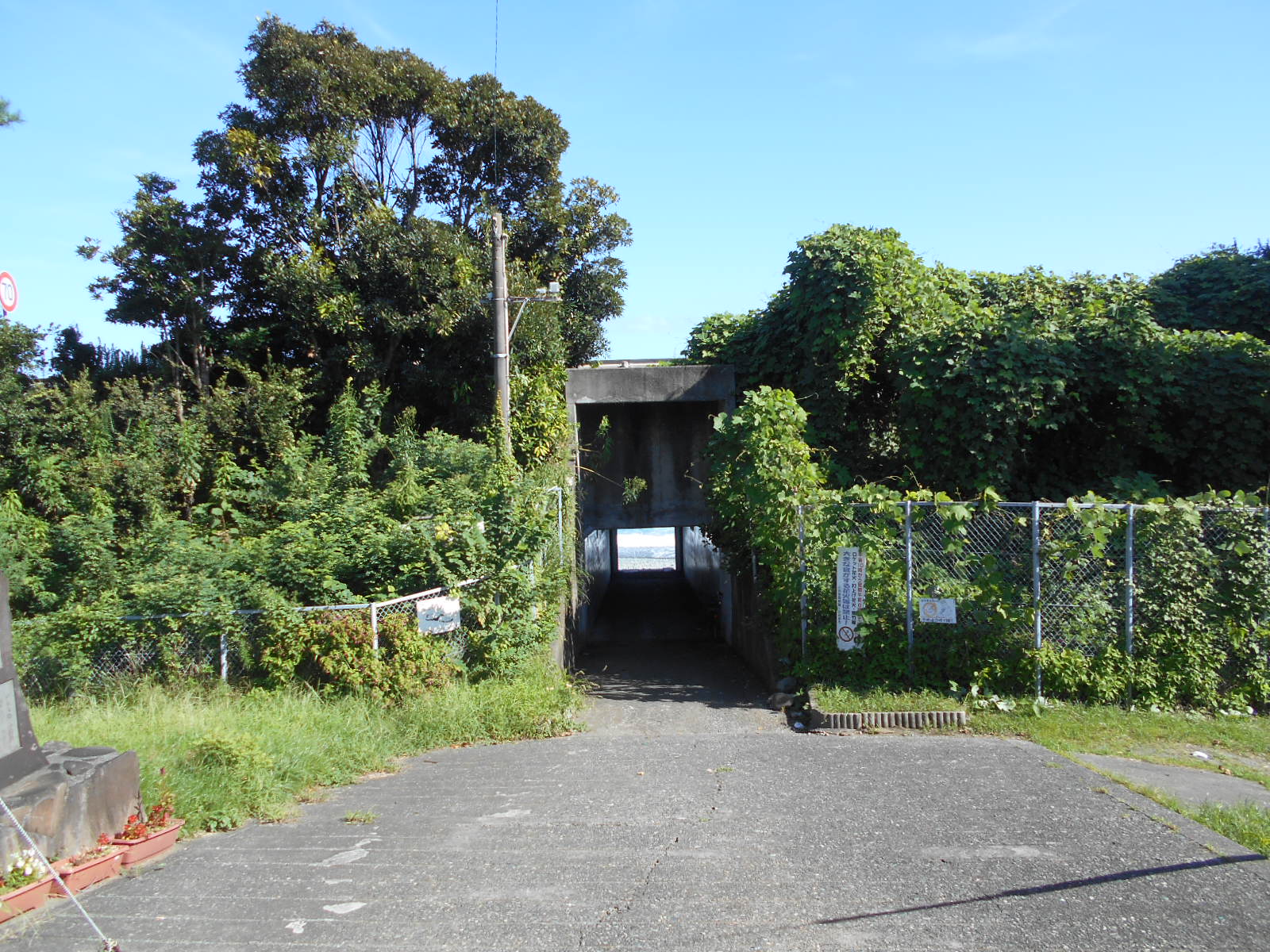 小田原 －海へと続くトンネル～御幸の浜～小田原邸園めぐり－ : ＭＥＭＯＲＹ