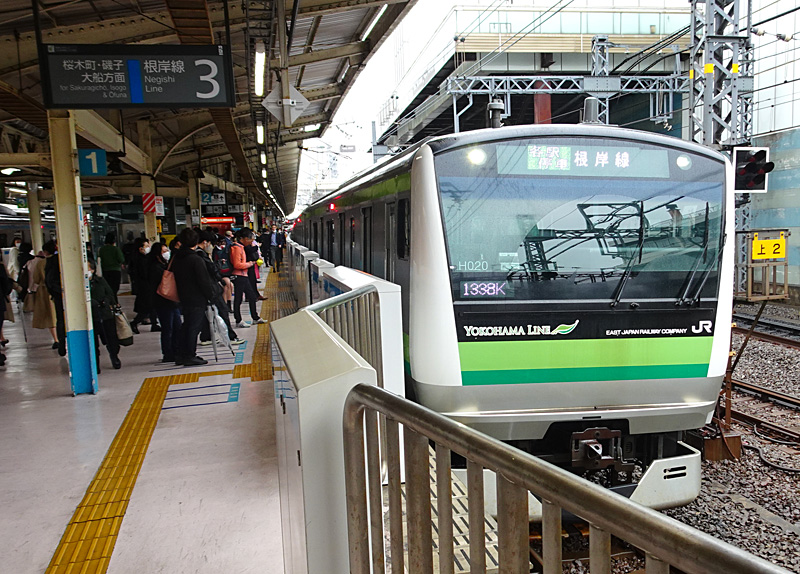 JR東日本横浜支社が185系「Y160記念列車の旅」を発売 横浜セントラルタウンフェスティバルと連携 -
