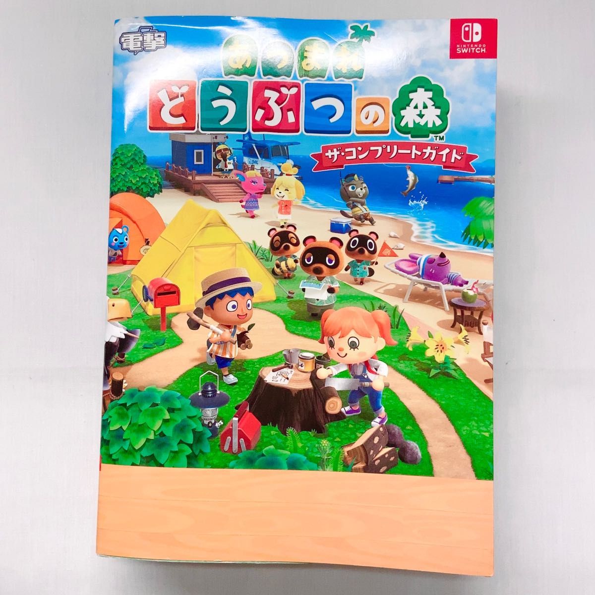 あつ森 柵一覧と柵を立てるときのポイント解説こころぐゲーム