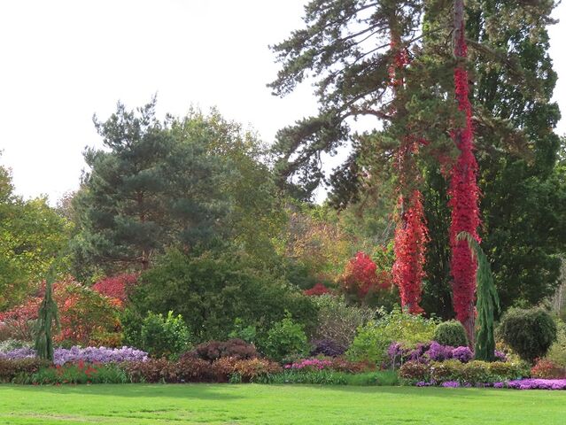 開催中～10 31 金