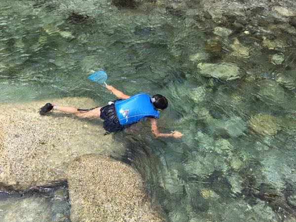 神奈川 都心から日帰りできるオススメの川遊びスポットは？Greenfield グリーンフィールド