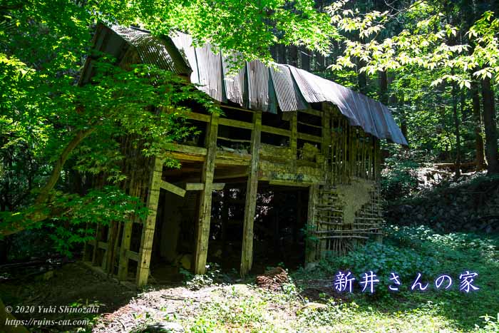 野田・越谷・さいたま・鳩ヶ谷・川口の近代建築 EBONY SV45Tiで撮影-