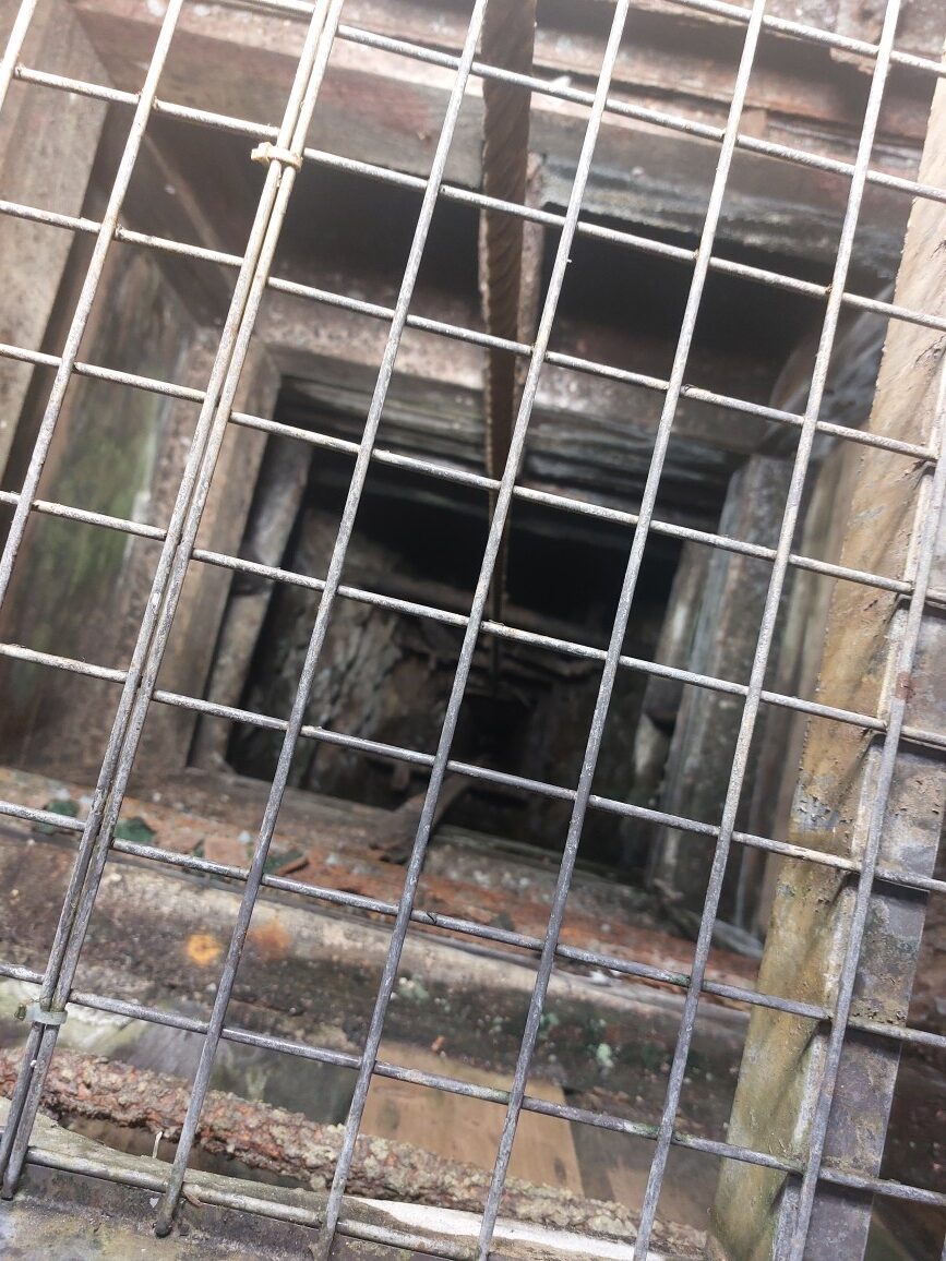 中津江村とカメルーン