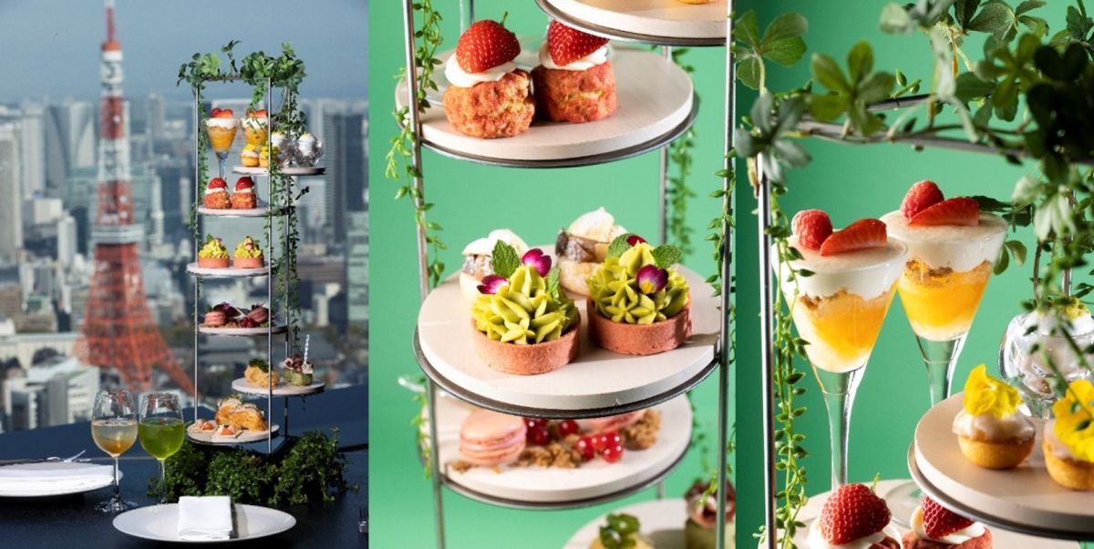 大成功 誕生日におすすめの六本木ヒルズにあるレストランを予約 - OZmallレストラン予約