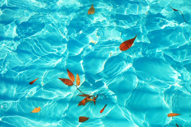 西武園ゆうえんちが穴場すぎる！土日混雑なしで1日満喫できるプランを徹底解説！akoshi's lifestyle ~あこしずらいふすたいる