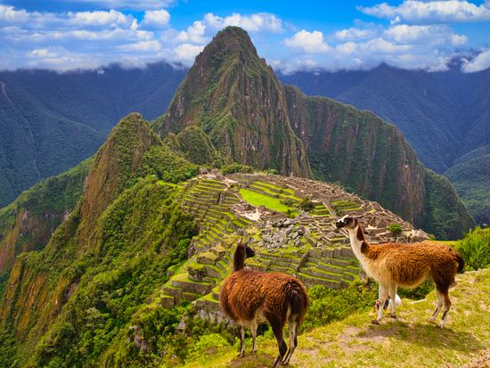 H.I.S. 日本語プライベートガイド同行♪ペルー周遊 4泊5日ツアーマチュピチュ遺跡・ワカチナ湖・ナスカの地上絵遊覧 リマ ペルーのオプショナルツアー海外現地ツアー格安予約