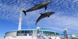 天草パールガーデン&海中水族館シードーナツ周辺のおすすめホテル・宿・旅館をお得に予約 2025年最新Trip.com