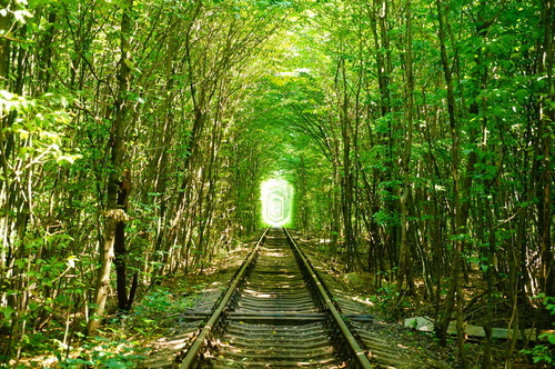 ウクライナにある「恋のトンネル」、恋人たちを魅せる四季折々のメルヘンチックな絶景。世界の絶景＆猫歩き～エッセイ～
