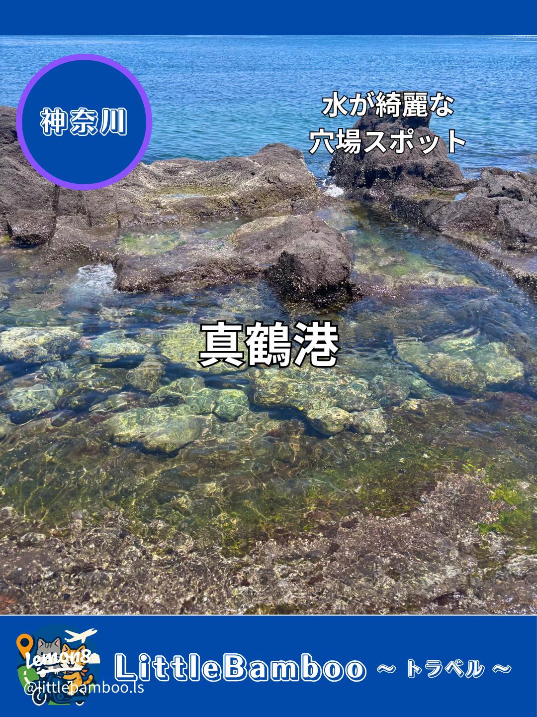 神奈川 家族・子連れで楽しめる釣り堀12選！おすすめポイントや釣れる魚も紹介 じゃらんニュース