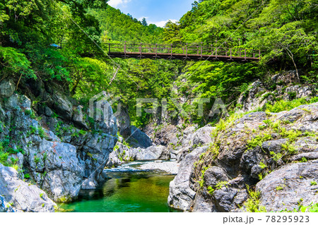 奥多摩湖の絶景！漂う吊り橋の魅力