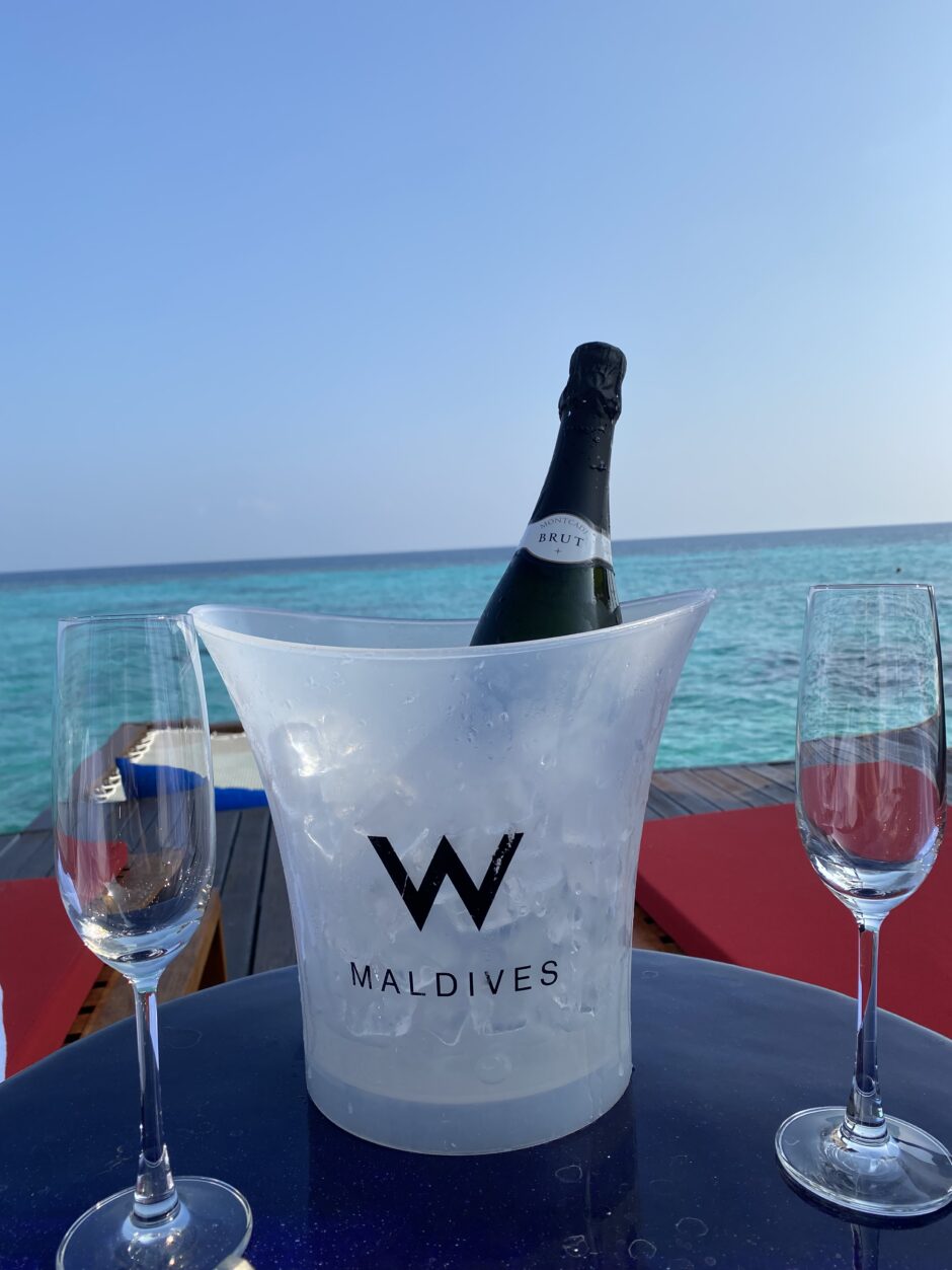 モルディブでウミガメとプライベートシュノーケリングGetYourGuide