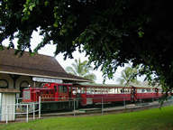 サトウキビ列車Sugar Cane Trainマウイ島+Hawaii プラスハワイ