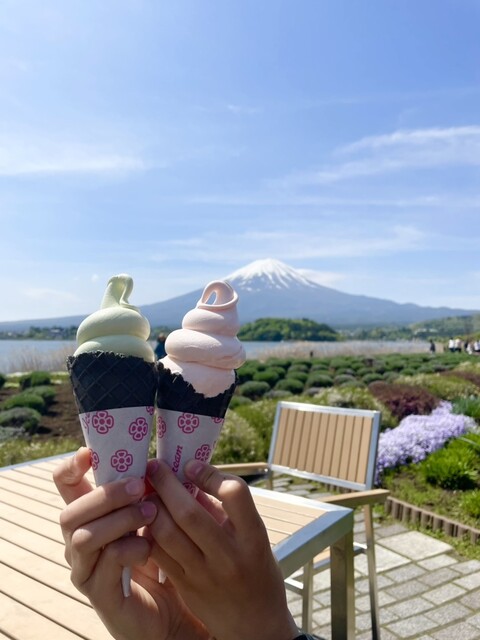 富士山が見えるオシャレすぎたカフェ☕️ アーチ状の建築がかっこ良くて、 店内から富士山を眺めながらゆっくり出来ました！ ペット可なので、一緒に🐶他の投稿はこちら @kentaro_going