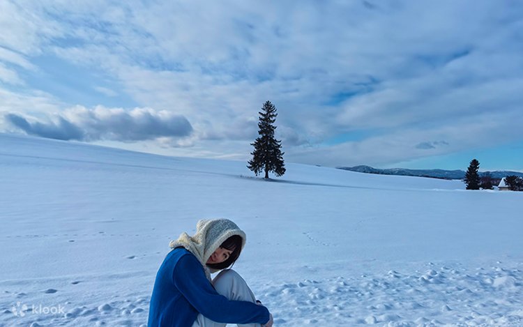 クリスマスツリーの木 - 北海道