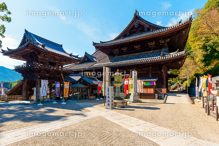 桜井市観光ならここ!桜井市でおすすめの人気観光・旅行スポット - 2025版まっぷるウェブ