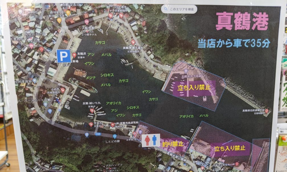 🎣 真鶴半島の付け根 - 新しい釣りポイント