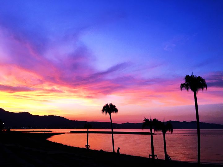 ㅤㅤㅤㅤㅤㅤㅤㅤㅤㅤㅤㅤㅤ 個性豊かなイルカたち🐬 ソラ、ジジ、ササ☺️