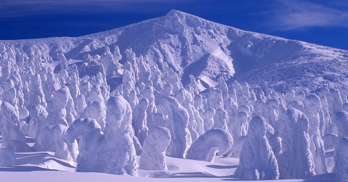 仙台の冬に行きたい観光スポット10選！カップルや1人旅にもおすすめaumo アウモ