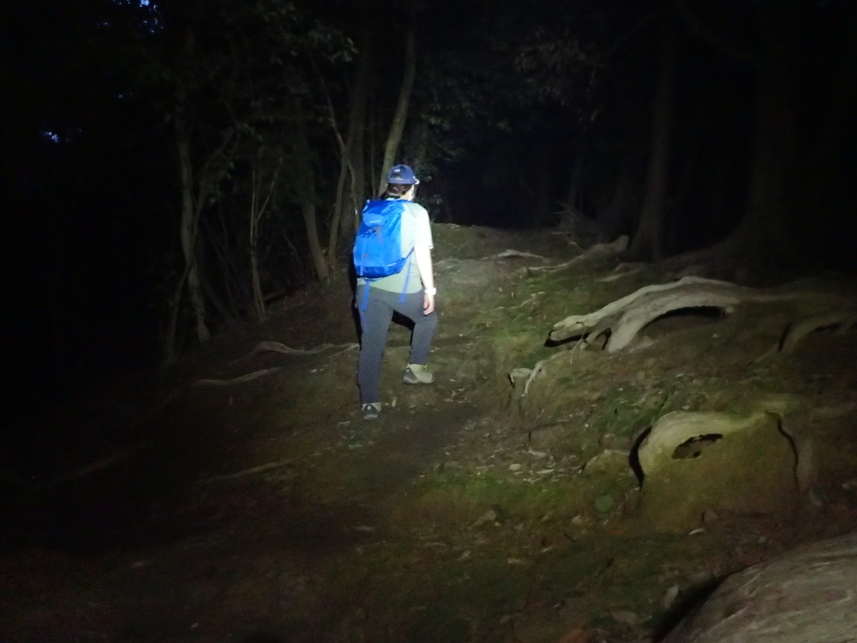 関東 ハイキング 初心者におすすめの穴場ツアー！アクティビティジャパン