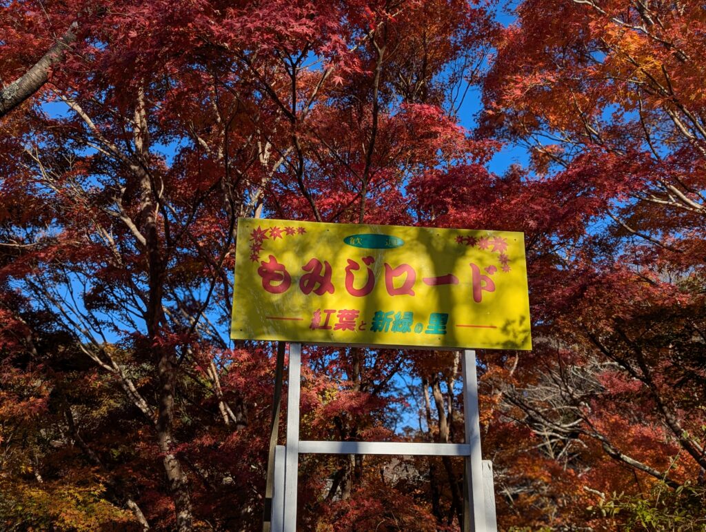 千葉さんぽ: 志駒もみじロード ～富津～