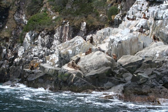 ワンワールド世界１周航空券で2017年南米＆南極海クルーズ・ホーン岬からドレーク海峡へ。』その他の観光地 チリ の旅行記・ブログ