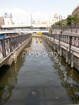 なんばハッチと湊町船着場の写真素材110192256- イメージマート