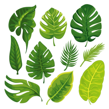 ハワイに咲くトロピカルな花や植物まとめアロハストリート-ハワイ